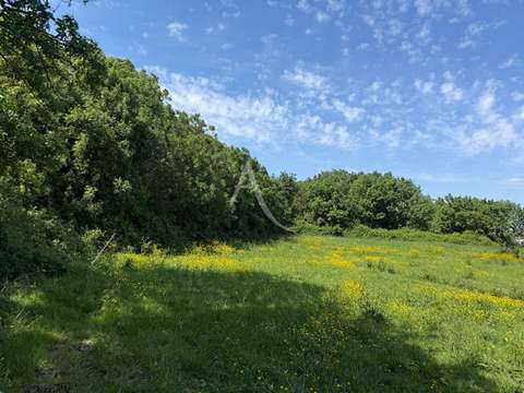 Vente de terrain