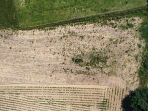 Vente Terrain 1400 m&sup2;Angos