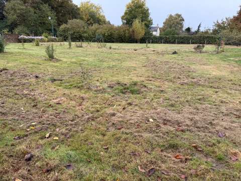 Vente de terrain Angrie 49