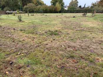 Vente Terrain 600 m&sup2;Angrie