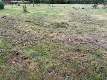Vente de terrain Angrie 49
