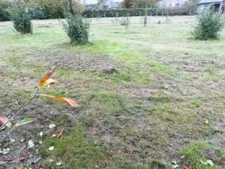 Vente de terrain