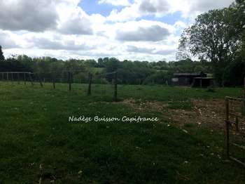 Vente de terrain