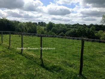 Vente de terrain