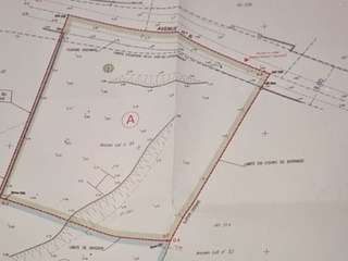 Vente de terrain