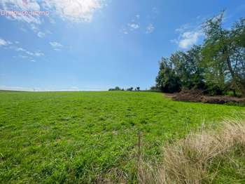 Vente Terrain 4111 m&sup2;Arancou