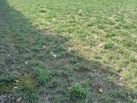 Vente de terrain