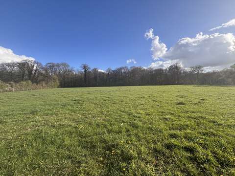 Vente de terrain Argentan 61