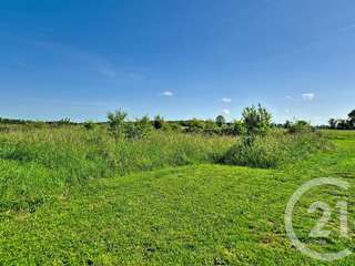 Vente de terrain