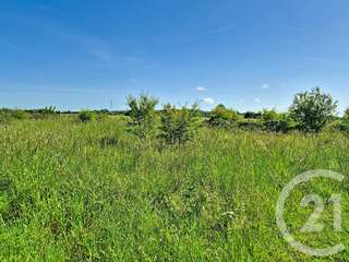 Vente de terrain