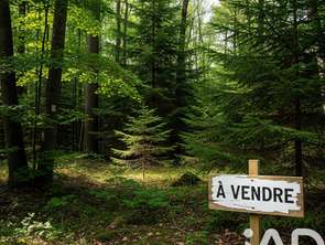 Vente Terrain 12875 m&sup2;Arsac