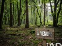 Vente de terrain
