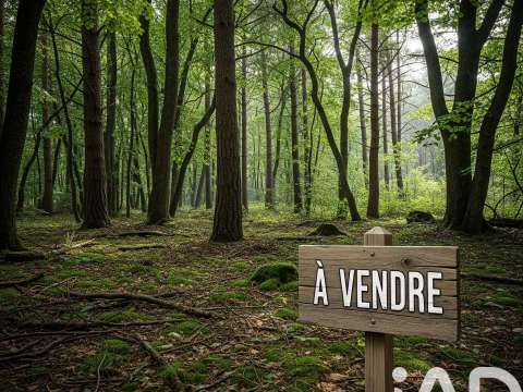 Vente de terrain Arsac 33
