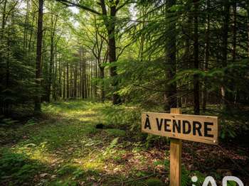 Vente de terrain Arsac 33