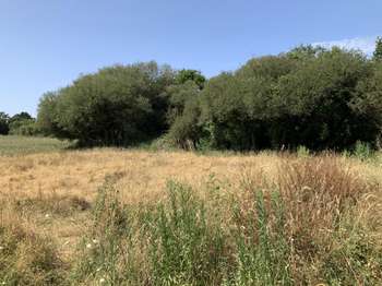 Vente de terrain Arzon 56