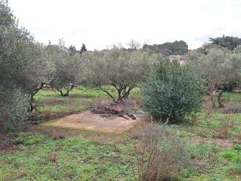 Vente de terrain