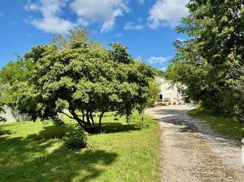 Vente Terrain 380 m&sup2;Aubignan