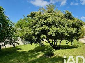 Vente Terrain 950 m&sup2;Aubignan