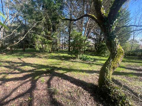 Vente de terrain Aubigny-les-Clouzeaux 85