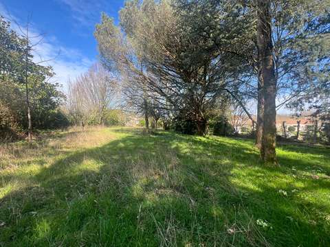 Vente de terrain