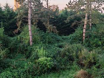 Vente Terrain 1000 m&sup2;Auneau