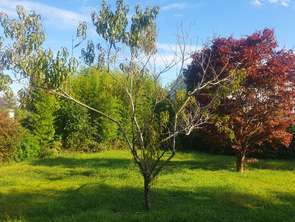 Vente Terrain 557 m&sup2;Auray