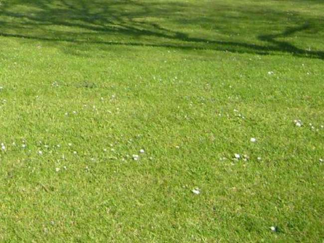 Terrain 560 m² · à Auray · 560 m² · 120 000 €