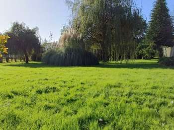 Vente de terrain