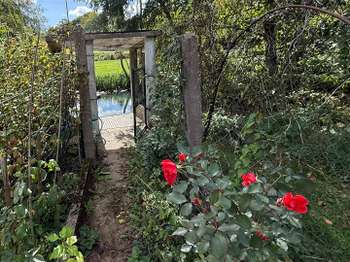Vente Terrain 242 m&sup2;Avoise