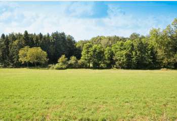 Vente Terrain 431 m&sup2;Avrillé