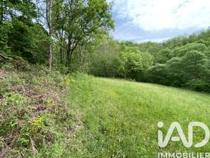 Vente Terrain 8141 m&sup2;Ayssènes