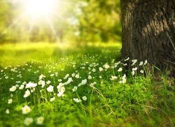 Vente Terrain 1330 m&sup2;Azay-le-Brûlé
