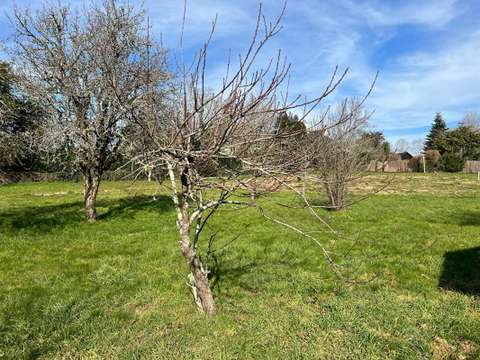 Vente de terrain Baden 56