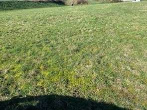 Vente Terrain 265 m&sup2;Baden