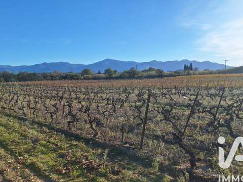 Vente de terrain Bages 66