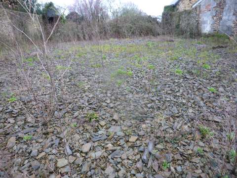 Vente de terrain