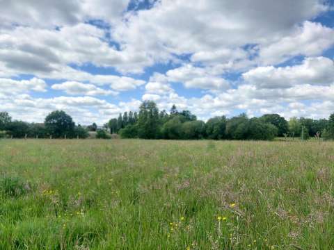 Vente de terrain Bagnoles-de-l'Orne 61