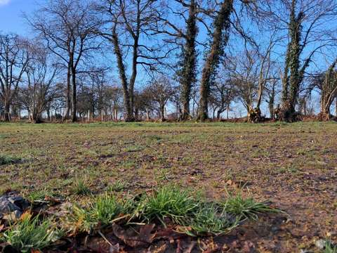 Vente de terrain Bain-de-Bretagne 35