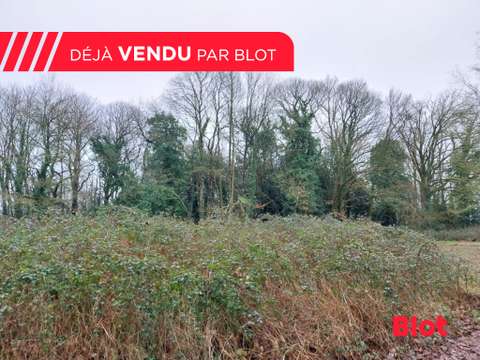 Vente de terrain