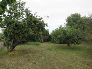 Vente TerrainBarbâtre