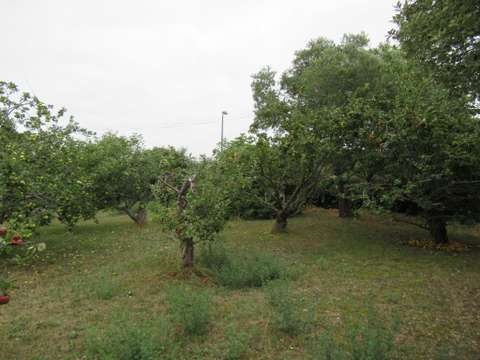 Vente de terrain