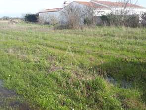 Vente Terrain 500 m&sup2;Barbâtre