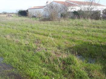 Vente de terrain Barbâtre 85