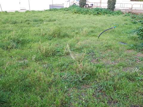 Vente de terrain Barbâtre 85