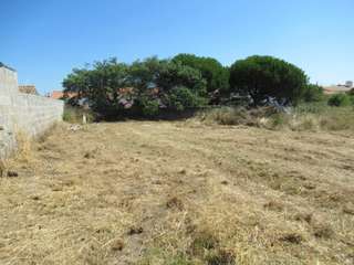 Vente de terrain