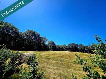 Vente Terrain 89340 m&sup2;Barenton