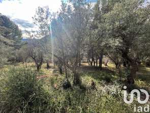 Vente Terrain 1500 m&sup2;Bargemon