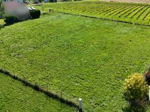 Vente Terrain 2614 m&sup2;Bassac