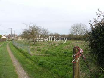 Photo Vente de terrain Basseneville