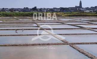 Photo Vente de terrain Batz-sur-Mer